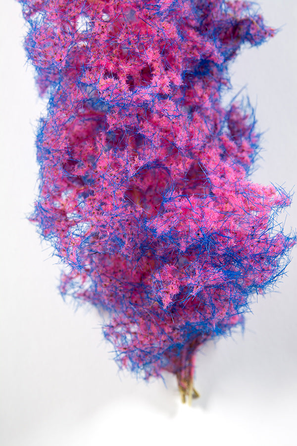 Blue-Pink Fantasy Bushes
