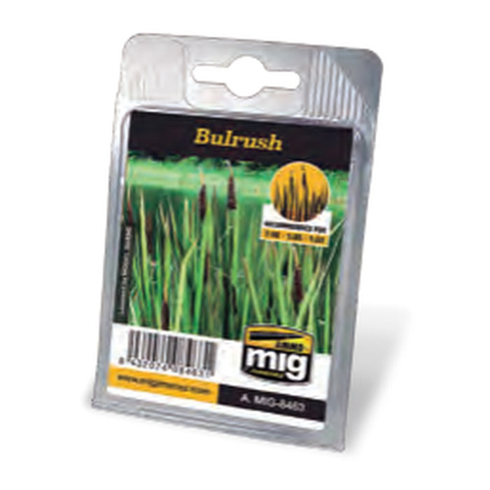 Bulrush
