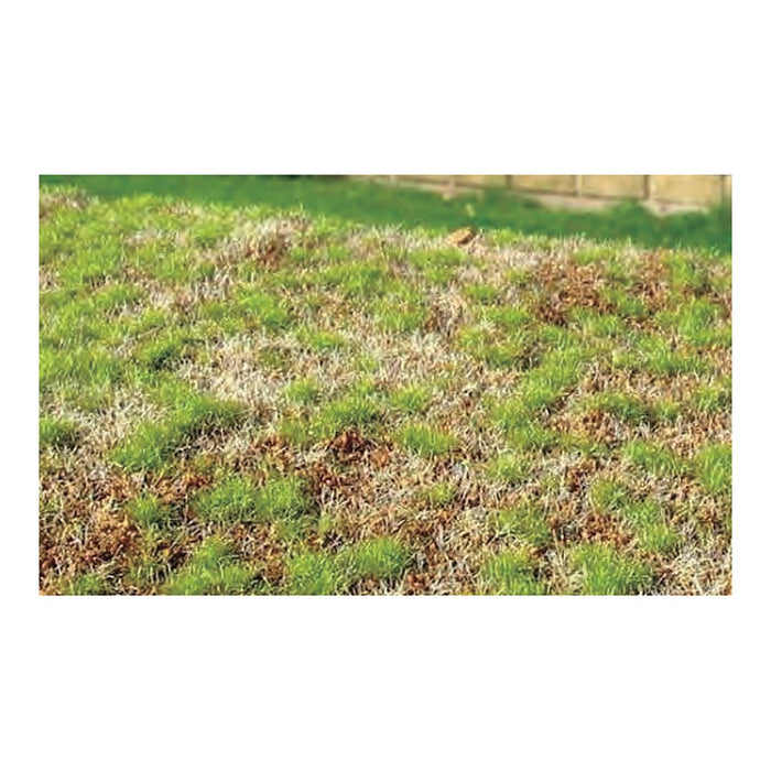 Spring Steppe