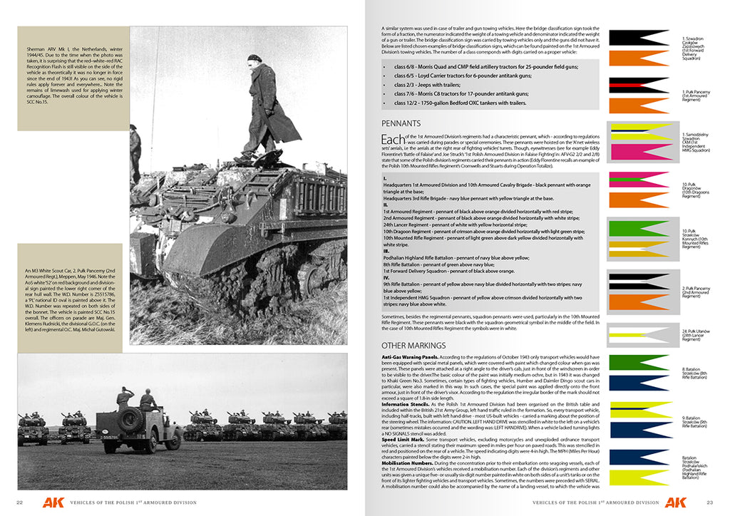 Vehicles Of The Polish 1st Armoured Division (Camouflage Profile Guide) English