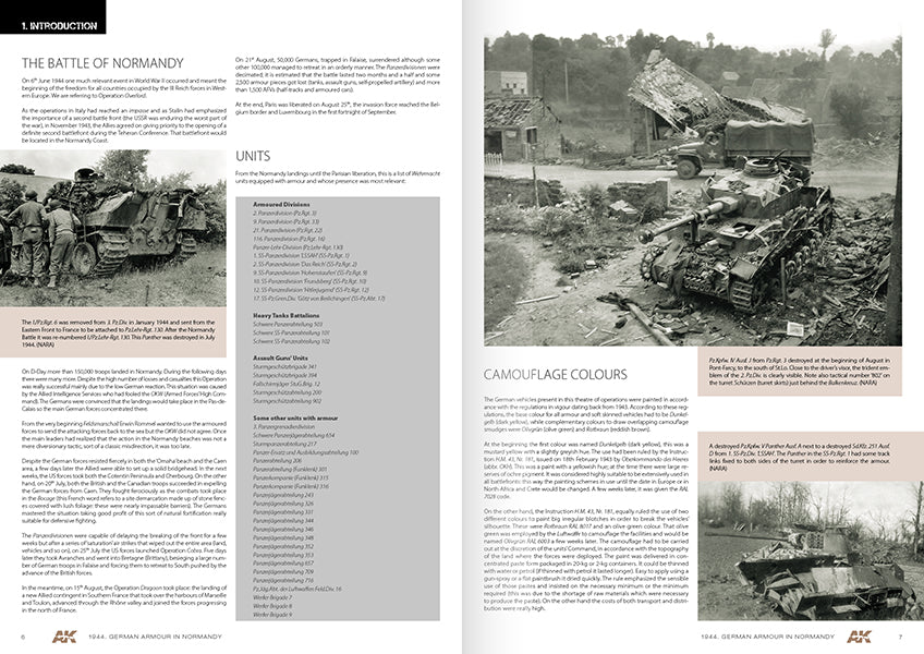 1944 German Armour In Normandy  Camouflage Profile Guide - English