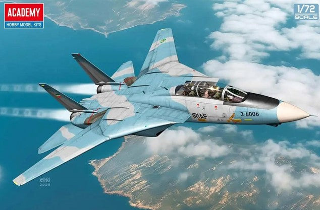 1/72 F-14A "IRIAF"