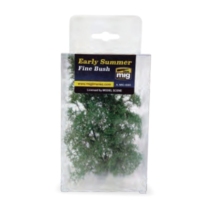 Fine Bush ? Early Summer
