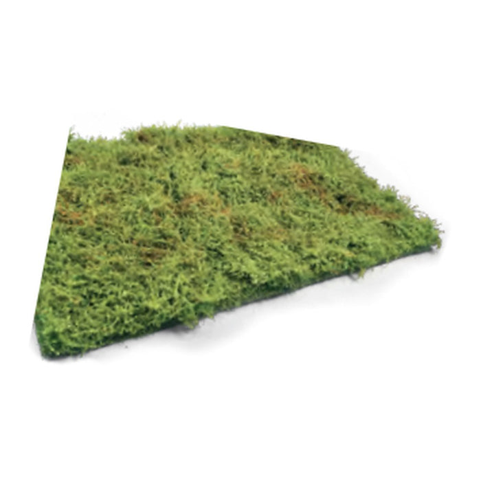 Wilderness Fields with bushes - spring