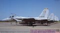 1/72 F15J Eagle, Mystic EagleIV 204SQ Part 1