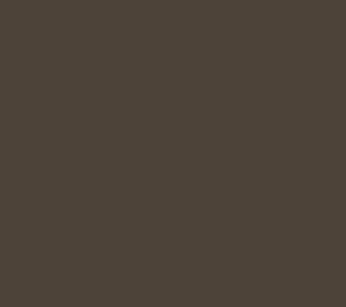 Colore acrilico 20ml. - Flat Brown 383