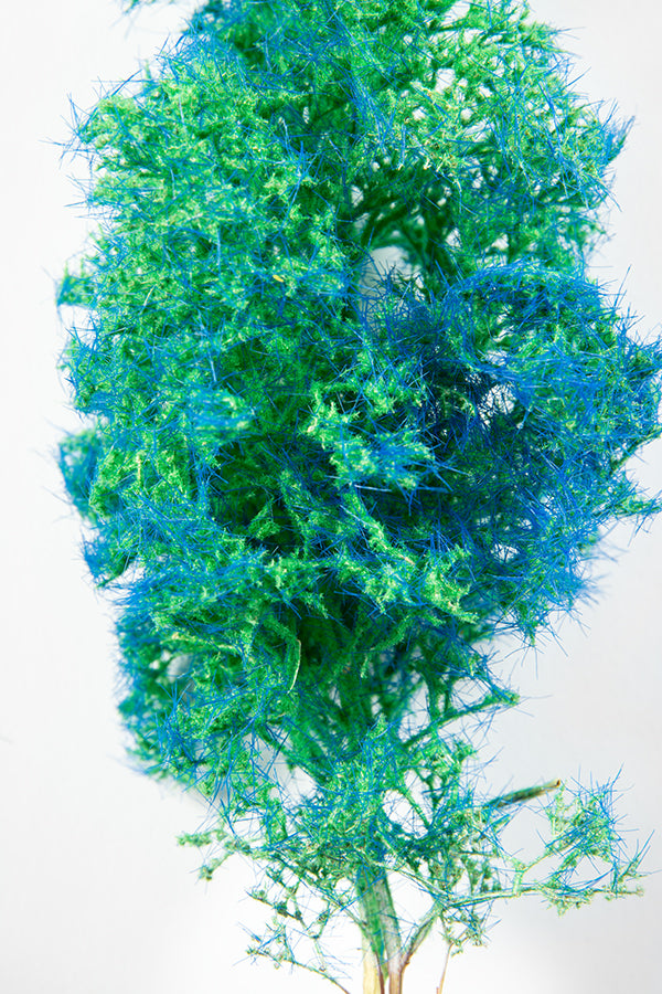 Blue-Green Fantasy Bushes